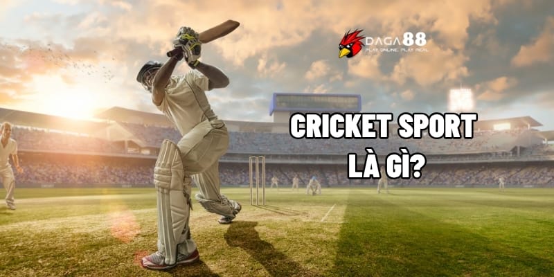 Cricket Sport – Môn Thể Thao Hấp Dẫn Với Kèo Cược Kịch Tính 1 Cricket Sport