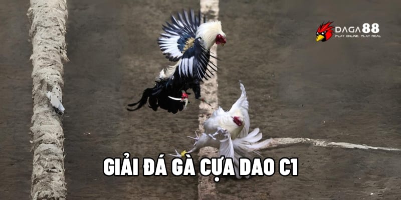 Giải Đá Gà Cựa Dao C1 – Kịch Tính, Máu Lửa, Thắng Lớn Mỗi Ngày 1 Giải đá gà cựa dao C1