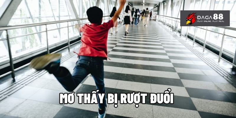 Mơ Thấy Bị Rượt Đuổi? Hé Lộ Ý Nghĩa Bất Ngờ Đằng Sau 1 Mơ thấy bị rượt đuổi